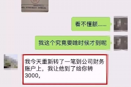 湛江专业讨债公司有哪些核心服务？